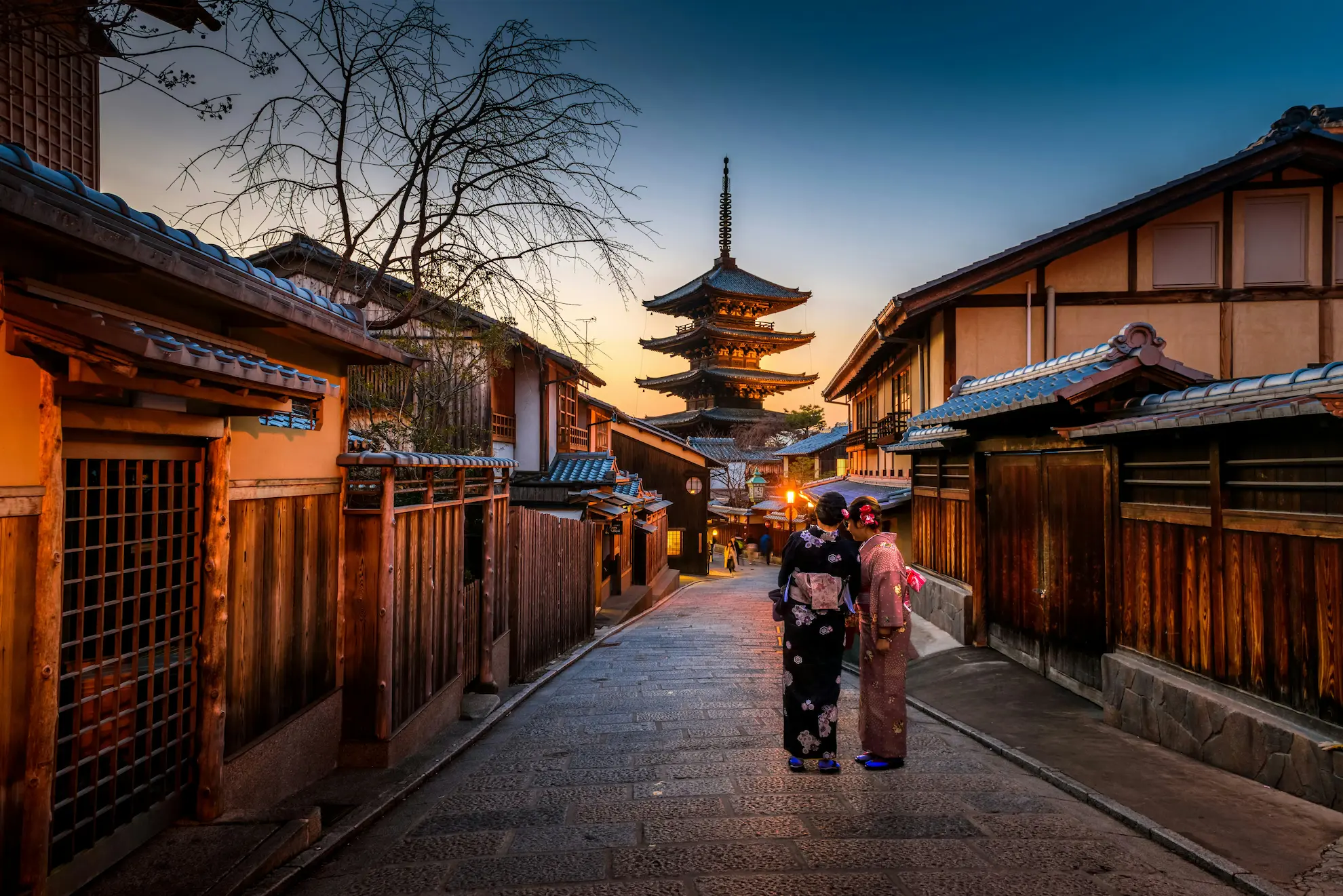Japan Travel - Cherry Blossoms & Tokyo Tours