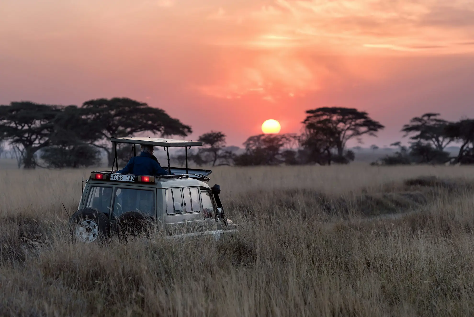 Kenya Safari - Travel Unbounded USA